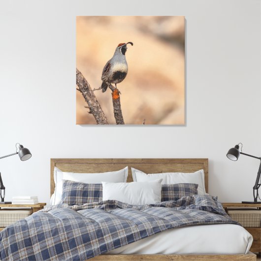 Gambels Quail Canvas Afdruk (Insitu (Slaapkamer))