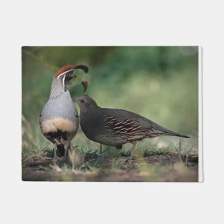 Gambels Quail Deurklep Deurmat
