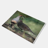Gambels Quail Deurklep Deurmat (Schuin)