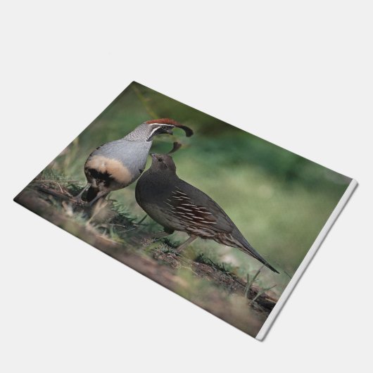 Gambels Quail Deurklep Deurmat (Schuin)