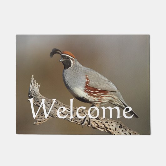 Gambels Quail Deurmat (Voorkant)