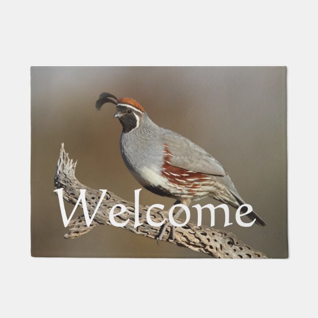 Gambels Quail Deurmat (Voorkant)