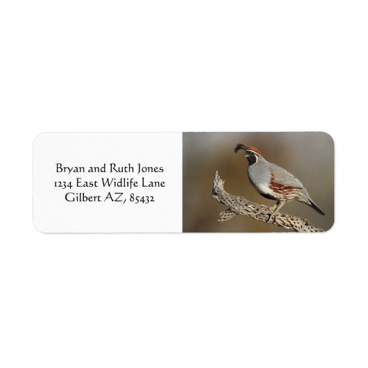 Gambels Quail Etiket (Voorkant)
