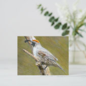 Gambels Quail natuur briefkaart (Staand voorkant)