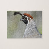 Gambels Quail Puzzle Legpuzzel (Horizontaal)
