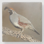 Gambels Quail Stenen Onderzetter (Voorkant)