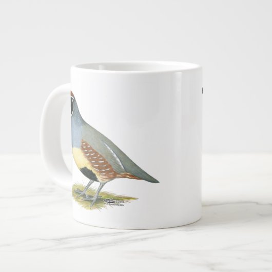 Gambels woestijnkwartel grote koffiekop (Links)