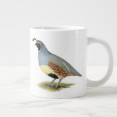 Gambels woestijnkwartel grote koffiekop (Rechts)