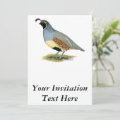 Gambels woestijnkwartel kaart (Staand voorkant)