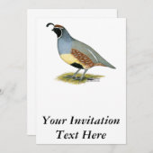 Gambels woestijnkwartel kaart (Voorkant / Achterkant)