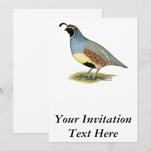 Gambels woestijnkwartel kaart (Voorkant / Achterkant)