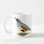 Gambels woestijnkwartel koffiemok (Links)