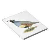 Gambels woestijnkwartel notitieblok (Schuin)