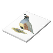 Gambels woestijnkwartel notitieblok (Linkerzijde)