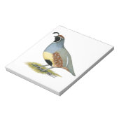 Gambels woestijnkwartel notitieblok (Linkerzijde)