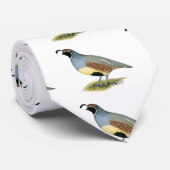 Gambels woestijnkwartel stropdas (Opgerold)