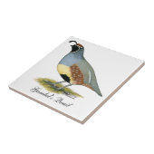 Gambels woestijnkwartel tegeltje (Zijkant)