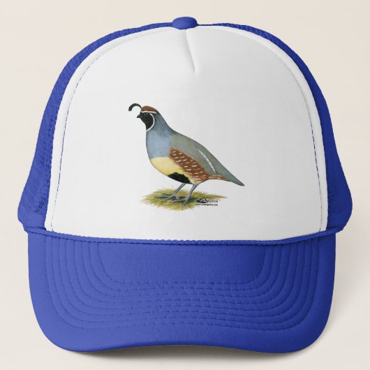 Gambels woestijnkwartel trucker pet (Voorkant)