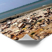 Gambia - Barra - Poster (Hoek)