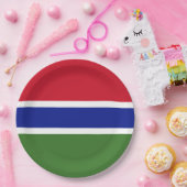 Gambiaanse vlag papieren bordje (Feest)