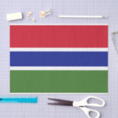 Gambiaanse vlag tissuepapier (Craft)