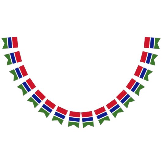 Gambiaanse vlag vlaggetjes (Alle)