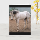 Gamblers Way Kaart (Gele Bloem)