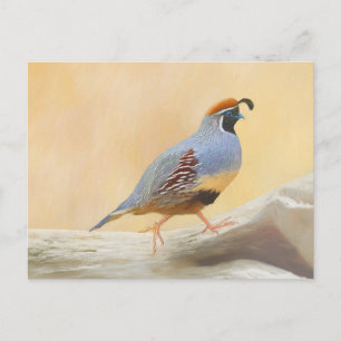 Gambrel's Kwartel Schilderij Originele Vogel Kunst Briefkaart