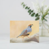 Gambrel's kwartels briefkaart (Staand voorkant)