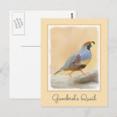Gambrel's kwartels briefkaart (Voorkant / Achterkant)