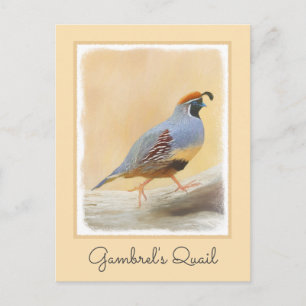 Gambrel's kwartels briefkaart