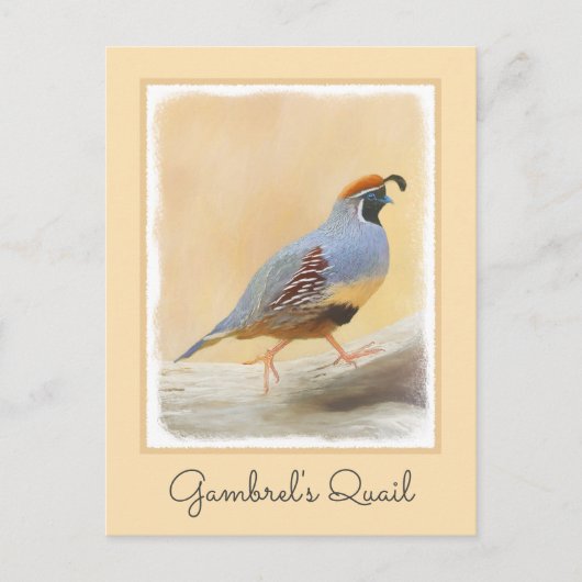 Gambrel's kwartels briefkaart (Voorkant)