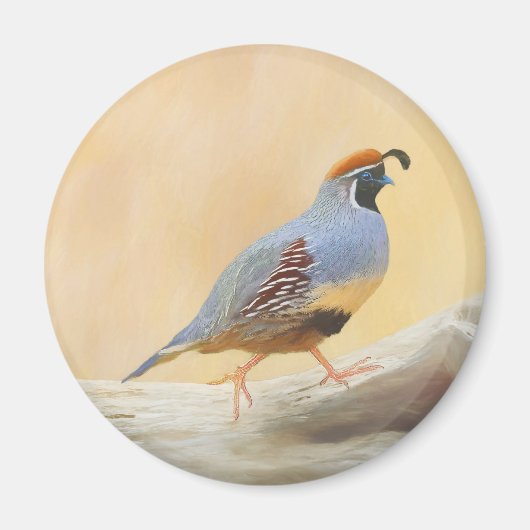Gambrel's kwartels magneet (Voorkant)
