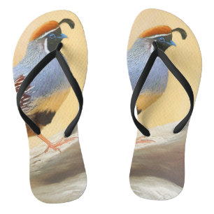 Gambrel's kwartels teenslippers