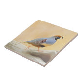 Gambrel's kwartels tegeltje (Zijkant)