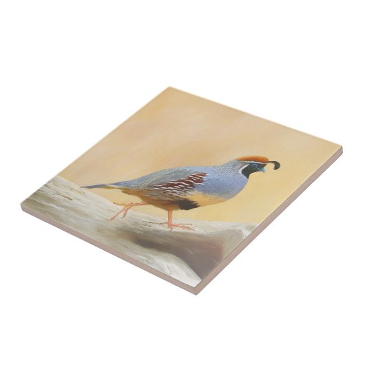 Gambrel's kwartels tegeltje (Zijkant)