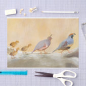 Gambrel's kwartels tissuepapier (Craft)