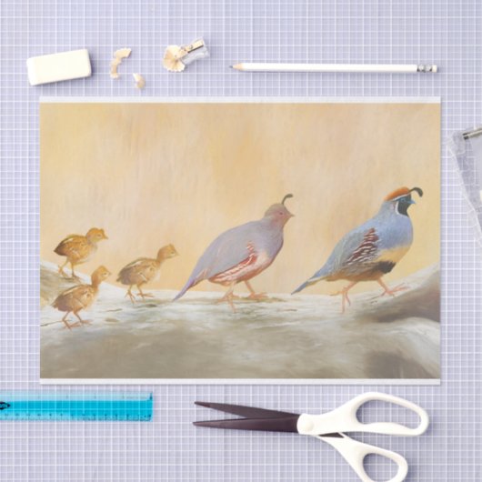 Gambrel's kwartels tissuepapier (Craft)