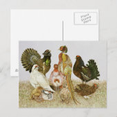 Game Birds Briefkaart (Voorkant / Achterkant)