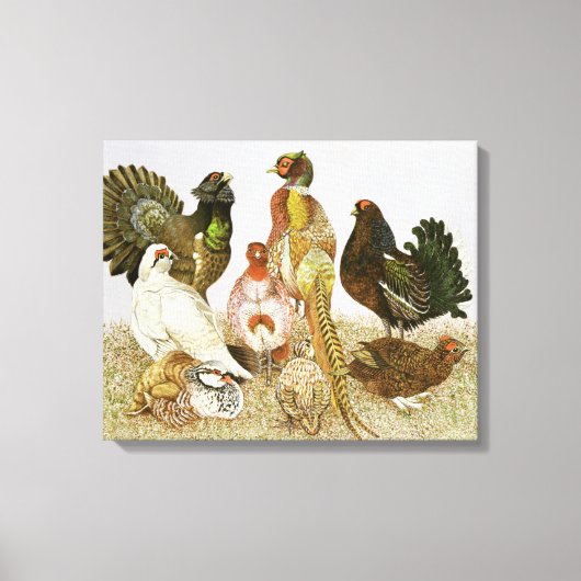 Game Birds Canvas Afdruk (Voorkant)