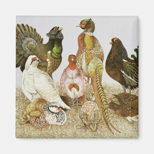 Game Birds Magneet (Voorkant)