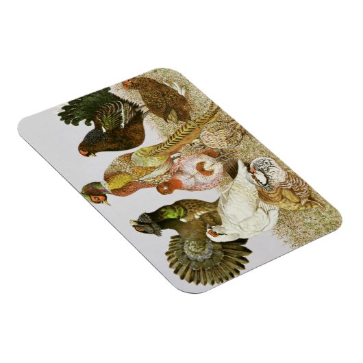 Game Birds Magneet (Rechterzijde)