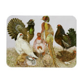 Game Birds Magneet (Horizontaal)