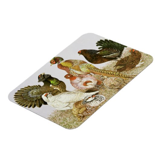 Game Birds Magneet (Linkerzijde)