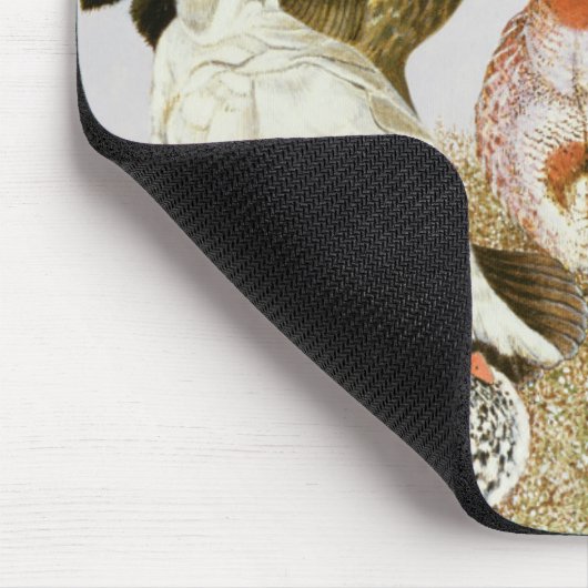 Game Birds Muismat (Hoek)