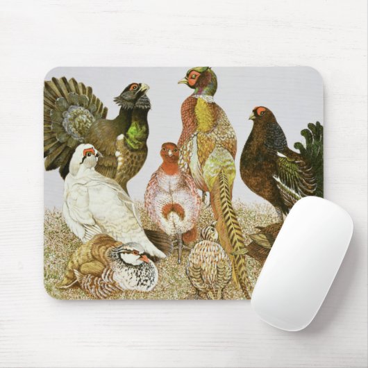 Game Birds Muismat (Met muis)