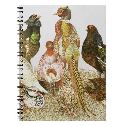 Game Birds Notitieboek (Voorkant)