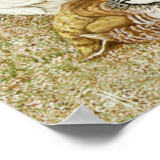 Game Birds Poster (Hoek)