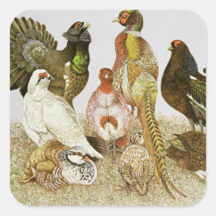 Game Birds Vierkante Sticker