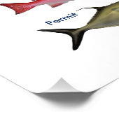 Game Fish van de Tropische Atlantische fotoprint Foto Afdruk (Hoek)